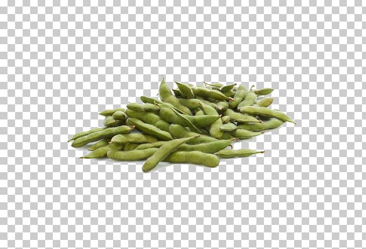Edamame Green Bean Soybean PNG, Clipart, Bean, Buckle, Commodity, Designer, Download Free PNG Download