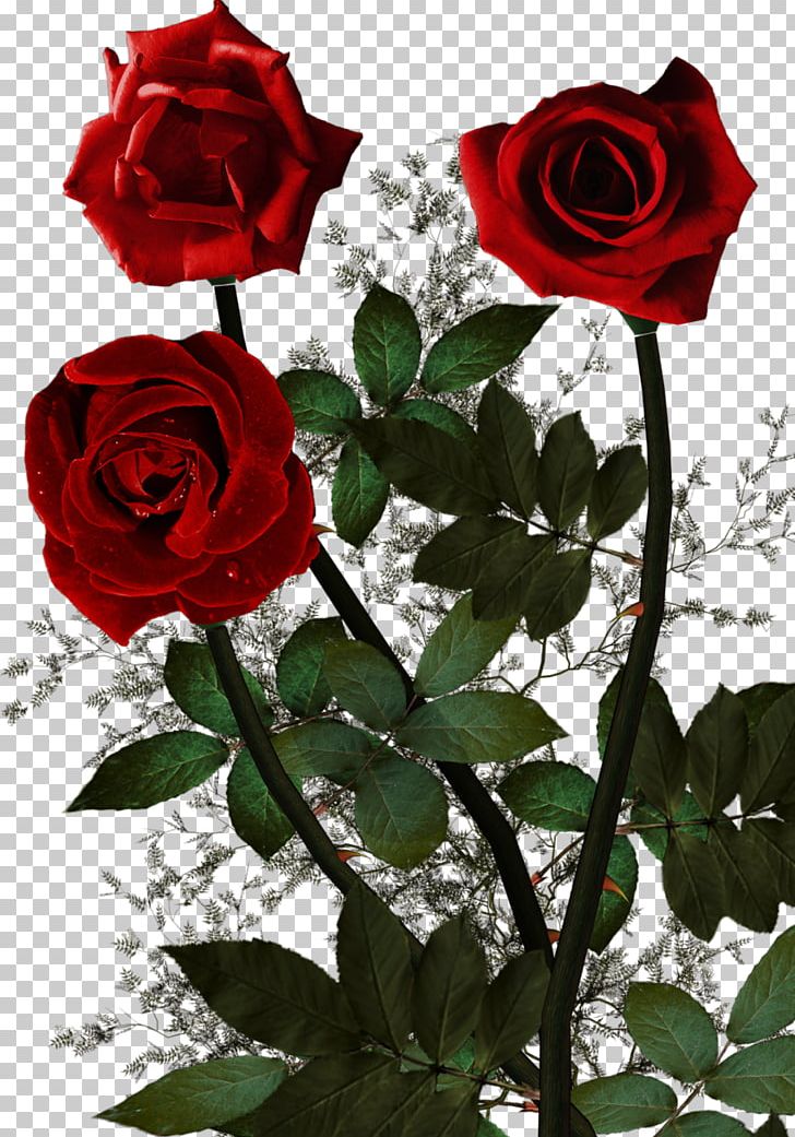 Garden Roses Psalms God Cabbage Rose Floribunda PNG, Clipart, Christian Prayer, Cut Flowers, Faith, Flora, Floral Design Free PNG Download