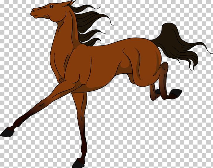 Mustang Foal Stallion Rein Mane PNG, Clipart, Bridle, Colt, English Riding, Equestrian, Equestrian Sport Free PNG Download