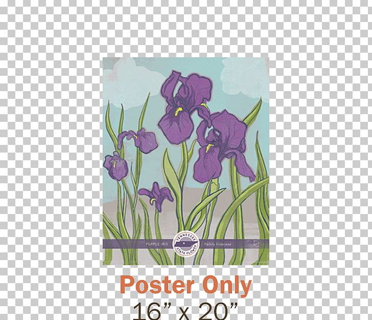 Tennessee Tulip Irises Poster PNG, Clipart, Flora, Floral Design, Flower, Flowering Plant, Flowers Free PNG Download