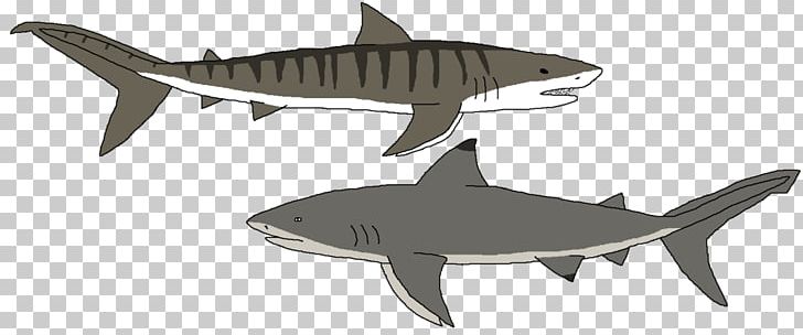 Tiger Shark Squaliform Sharks Requiem Sharks Fauna PNG, Clipart, Animal, Animal Figure, Cartilaginous Fish, Fauna, Fish Free PNG Download