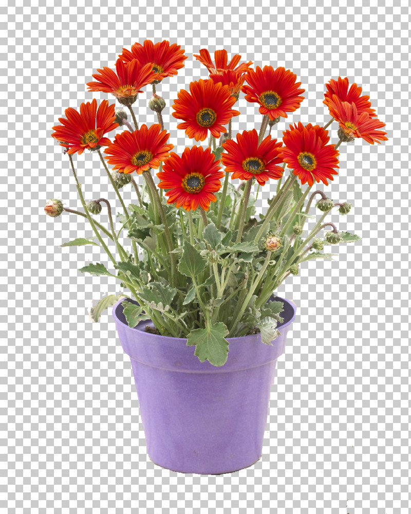 Artificial Flower PNG, Clipart, African Daisy, Annual Plant, Artificial Flower, Barberton Daisy, Cut Flowers Free PNG Download