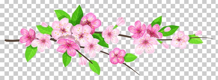 Portable Network Graphics Desktop PNG, Clipart, Blossom, Branch, Bud, Computer Network, Cut Flowers Free PNG Download