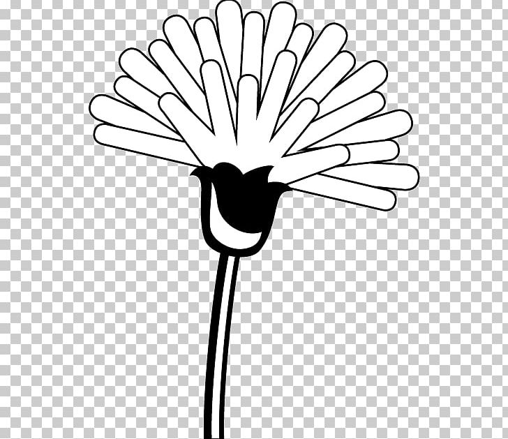 Dandelion Free Content PNG, Clipart, Area, Black, Black And White, Circle, Dandelion Free PNG Download