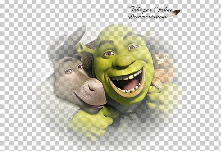 Shrek Film Series Princess Fiona Puss in Boots DreamWorks Animation, shrek  transparent background PNG clipart