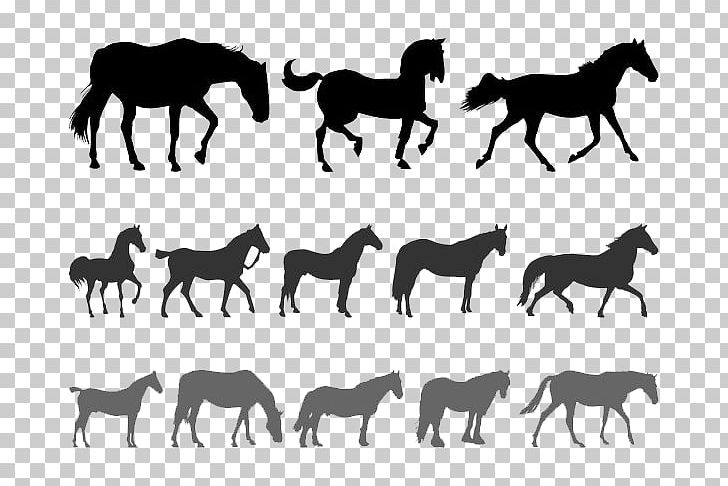 Horse Silhouette Equestrianism PNG, Clipart, Animal Figure, Animals, Anime Character, Black, Color Free PNG Download