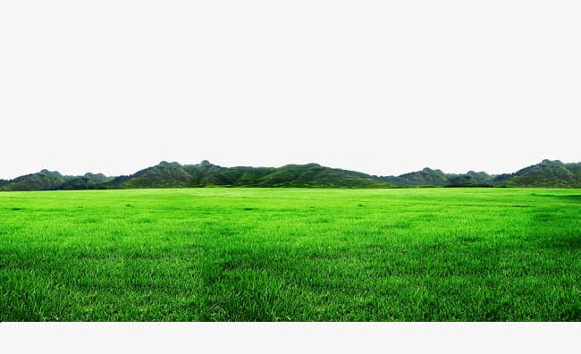 Green Grass Border Texture PNG, Clipart, Border, Border Clipart, Border Texture, Grass Clipart, Grassland Free PNG Download