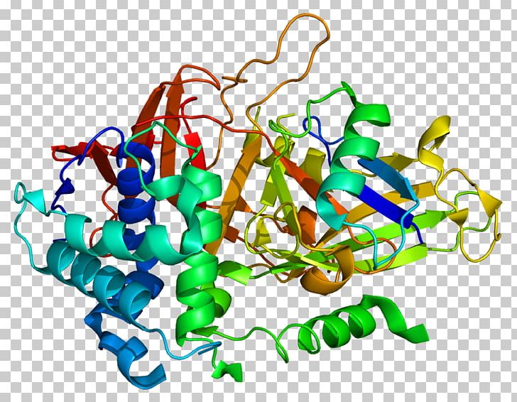 USP2 Protein Mdm2 Gene Ubiquitin PNG, Clipart, Artwork, Bioinformatics, Body Jewelry, Conserved Sequence, Dna Free PNG Download