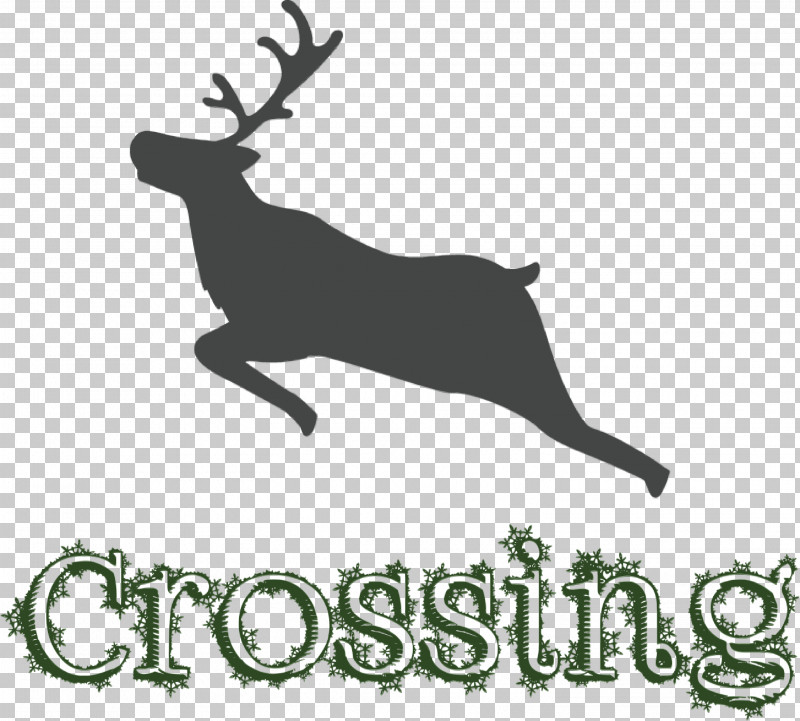 Reindeer PNG, Clipart, Antler, Biology, Black, Deer, Deer Crossing Free PNG Download