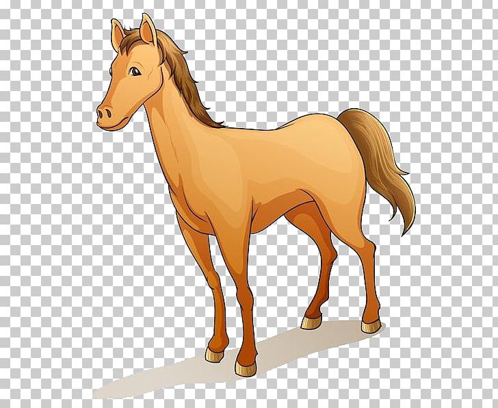 Barb Horse Pony PNG, Clipart, Animals, Balloon Cartoon, Cartoon Alien, Cartoon Character, Cartoon Couple Free PNG Download