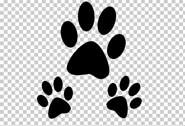 Cat Dog Paw Pet Tag PNG, Clipart, Animals, Black, Black And White, Cat, Cat People And Dog People Free PNG Download