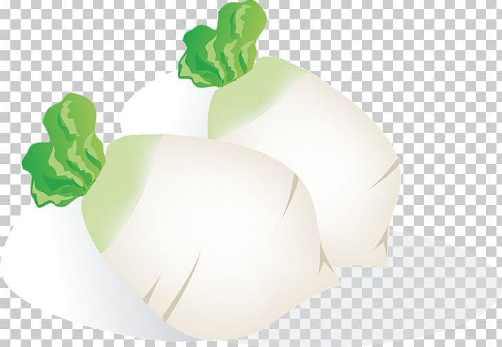 Daikon Vegetable Computer File PNG, Clipart, Background Green, Computer Wallpaper, Corn, Daikon, Download Free PNG Download