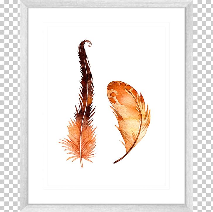 Frames Feather Printing Color PNG, Clipart, Animals, Clothing Sizes, Color, Feather, Flourishing Free PNG Download