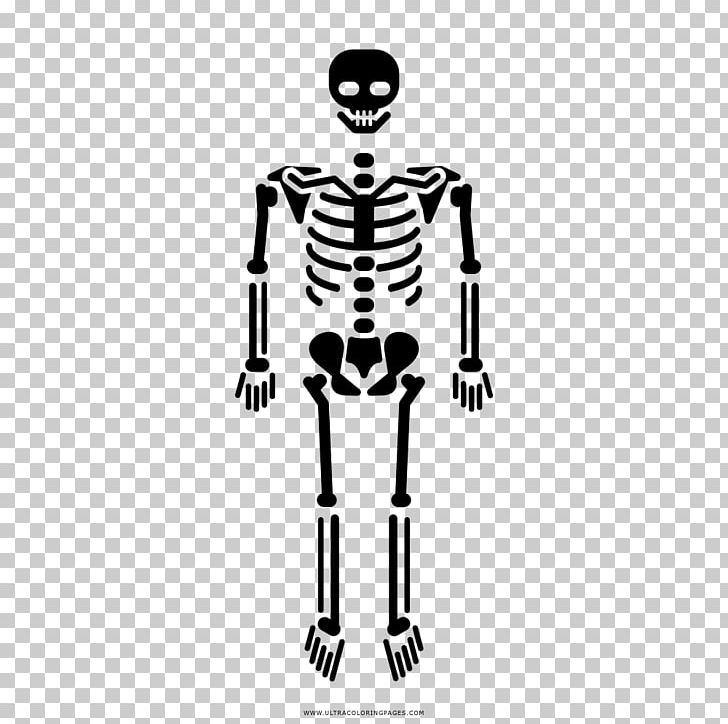 Human Skeleton Bone Homo Sapiens Skull PNG, Clipart, Anatomy, Ausmalbild, Black And White, Bone, Calavera Free PNG Download