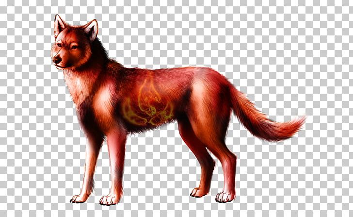 Red Fox Dog Breed Wolf Haven International Fire PNG, Clipart, Air, Carnivoran, Color, Dog, Dog Breed Free PNG Download