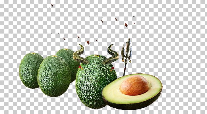 Avocado Mexican Cuisine Fruit Auglis PNG, Clipart, Apple Fruit, Auglis, Avocado, Butter, Cucumber Gourd And Melon Family Free PNG Download