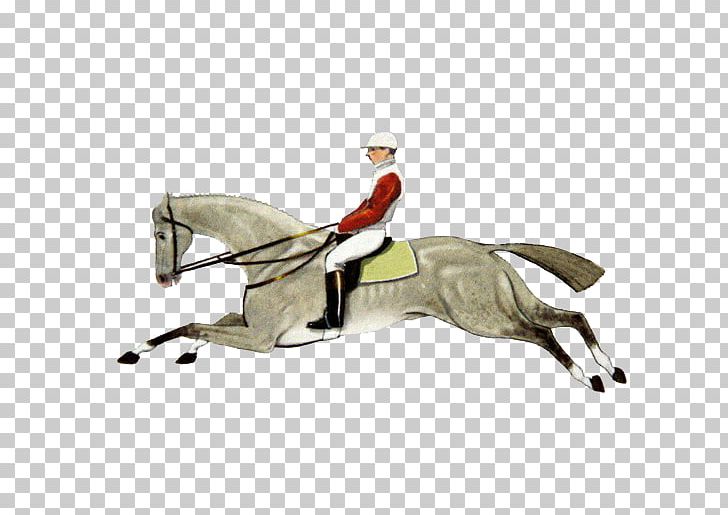 Horse Equestrianism Illustration PNG, Clipart, Angle, Art, Bookplate, Business Man, Equestrianism Free PNG Download