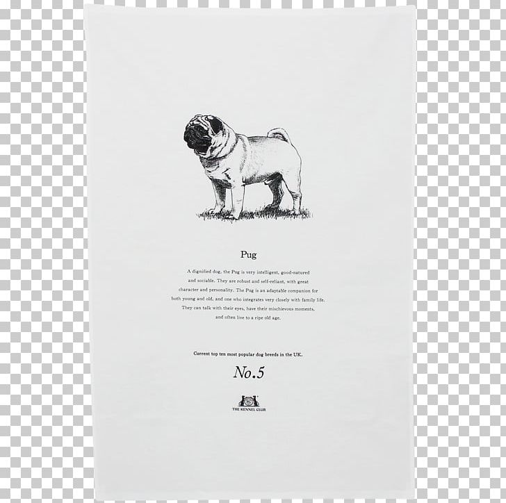 Pug Dog Breed Toy Dog The Kennel Club Crufts PNG, Clipart, Apron, Breed, Carnivoran, Chef, Crufts Free PNG Download