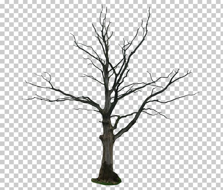 Tree Drawing Snag PNG, Clipart, Art, Black And White, Branch, Clip Art, Dead Free PNG Download