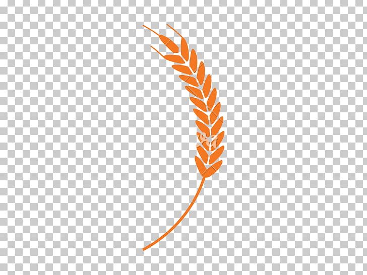Wheat Cereal Photography PNG, Clipart, Cereal, Drawing, Ear, Feather, Harvest Free PNG Download