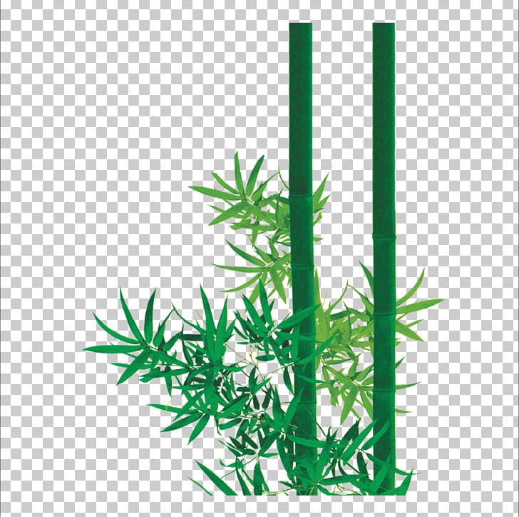 Bamboo Zongzi Leaf Bamboe PNG, Clipart, Bamboe, Banana Leaves, Cake, Cannabis, Euclidean Vector Free PNG Download