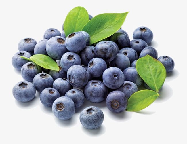 Blueberry PNG, Clipart, Blueberry, Blueberry Clipart, Fruit Free PNG Download