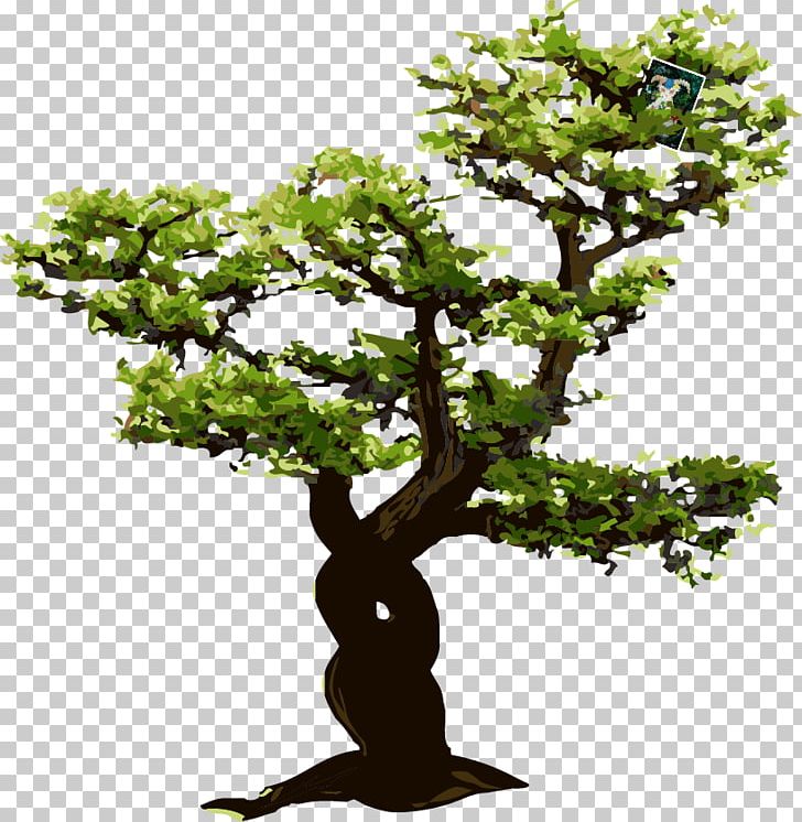Euclidean Tree PNG, Clipart, Bonsai, Branch, Christmas Tree, Drawing, Euclidean Vector Free PNG Download