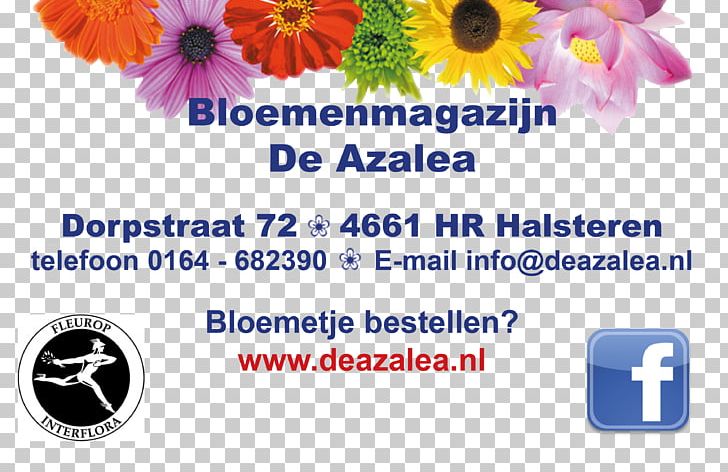 Floral Design Cut Flowers Interflora Brand PNG, Clipart, Azalea, Banner, Blue, Brand, Cut Flowers Free PNG Download