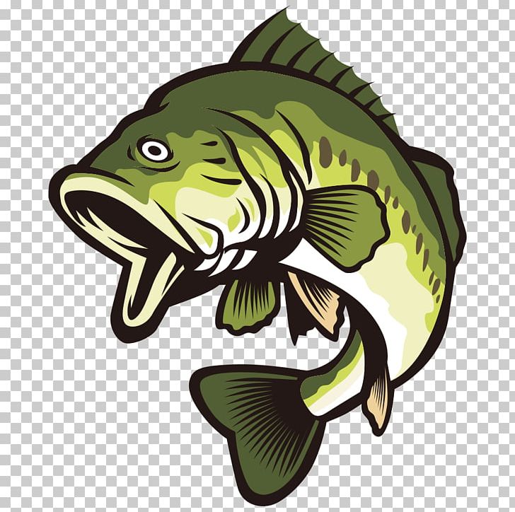 Largemouth Bass PNG, Clipart, Animals, Aquatic Creature, Background Green, Bass, Cartoon Fish Free PNG Download
