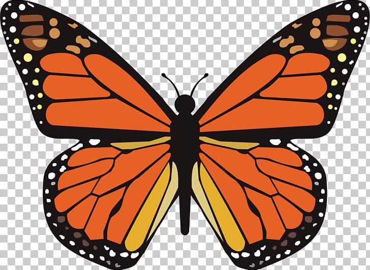 Monarch Butterfly Animal Migration Viceroy Insect Wing PNG, Clipart, Animal Migration, Arthropod, Brush Footed Butterfly, Butterflies And Moths, Butterfly Free PNG Download
