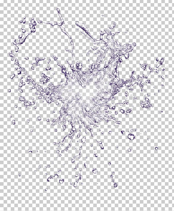 Splash Drop Water PNG, Clipart, Area, Branch, Drawing, Drop, Information Free PNG Download