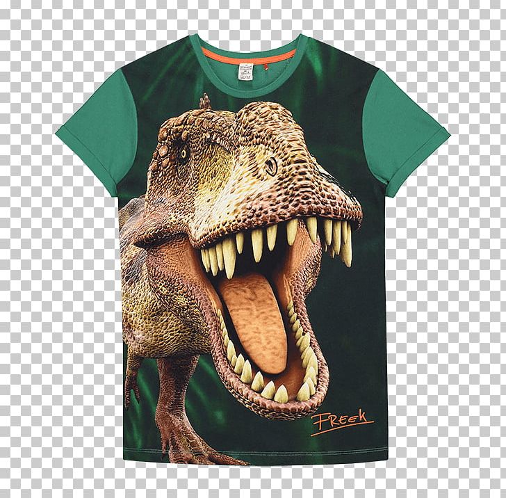 Tyrannosaurus T-shirt Dinosaur Animal Enschede PNG, Clipart, Algemeen Dagblad, Animal, Animal Sauvage, Child, Clothing Free PNG Download