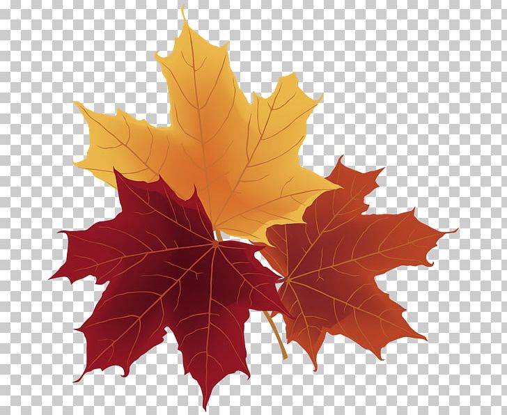 Autumn Leaf Color Berry PNG, Clipart, Autumn, Computer Icons, Desktop Wallpaper, Encapsulated Postscript, Green Free PNG Download