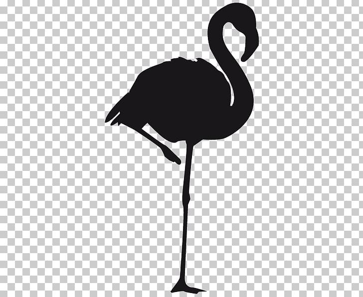 Bird Greater Flamingo PNG, Clipart, Animals, Beak, Bird, Black And White, Clip Art Free PNG Download