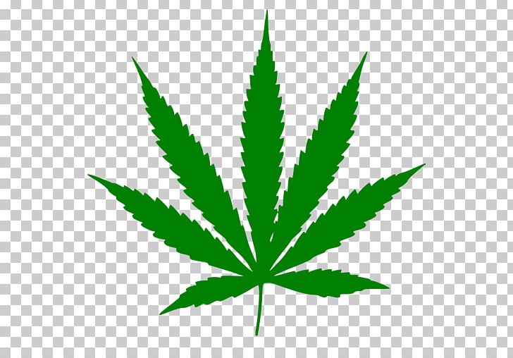 Cannabis Ruderalis Medical Cannabis Leaf PNG, Clipart, Cannabis, Cannabis Cultivation, Cannabis Ruderalis, Drawing, Grade Free PNG Download