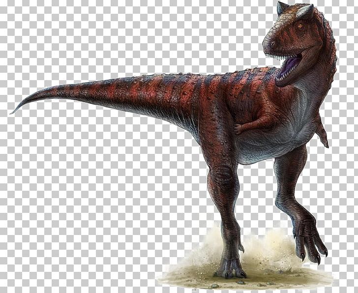 Carnotaurus Ceratosaurus Triceratops Horned Dinosaurs PNG, Clipart, Animal Figure, Armour, Carnivore, Carnivores, Carnotaurus Free PNG Download