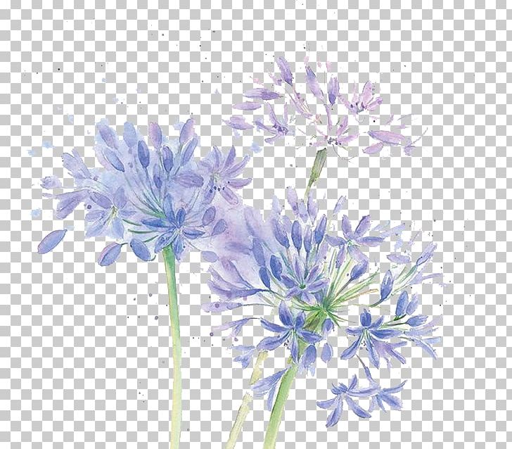 Floral Design Cut Flowers Chrysanthemum Blue PNG, Clipart, Art, Autumn, Blue, Cartoon, Chicory Free PNG Download