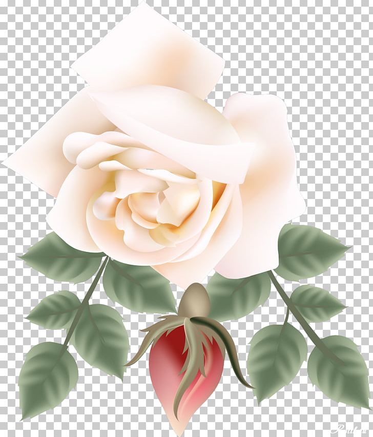 Garden Roses Flower Watercolor Painting PNG, Clipart, Artificial Flower, Beautiful, Clip Art, Cut Flowers, Drawing Free PNG Download