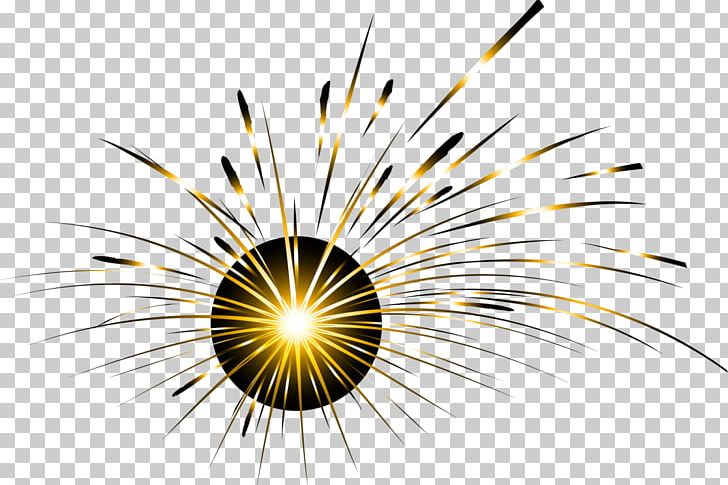 Light Fireworks Pyrotechnics PNG, Clipart, Artificier, Beautiful, Circle, Closeup, Computer Wallpaper Free PNG Download