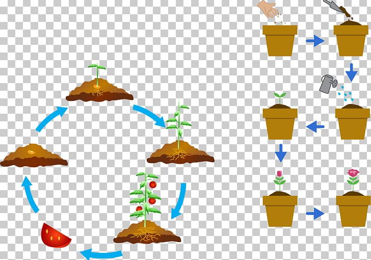 Plant Development Seed PNG, Clipart, Air, Air Cycle, Atmosphere, Circulation, Circulatory System Free PNG Download