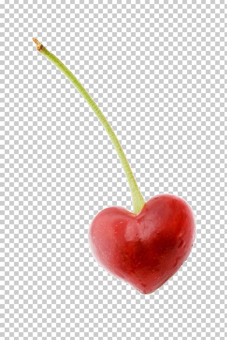 Sweet Cherry Fruit Illustration PNG, Clipart, Auglis, Cherries, Cherry, Cherry Blossom Petals, Cherry Blossoms Free PNG Download