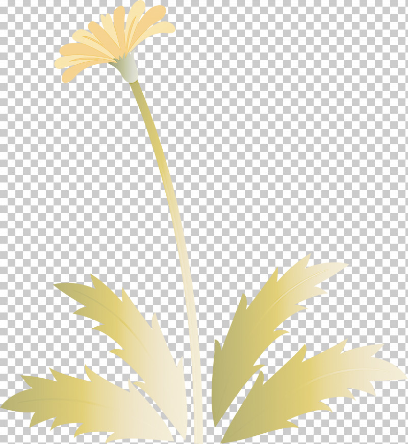 Dandelion Flower Easter Day Flower Spring Flower PNG, Clipart, Camomile, Chamomile, Daisy Family, Dandelion Flower, Easter Day Flower Free PNG Download