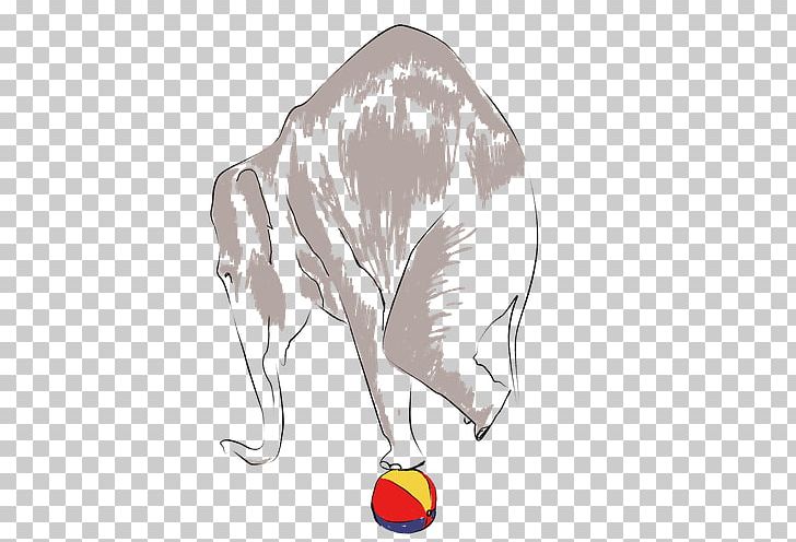 Drawing Paper Elephantidae Circus PNG, Clipart, Artwork, Beak, Carnivoran, Cartoon, Cat Free PNG Download