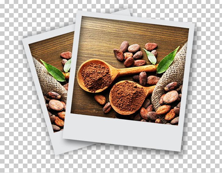 Cocoa Bean Cacao Tree Cocoa Solids Dark Chocolate PNG, Clipart, Biscuit, Cake, Chocolate, Cocoa Bean, Cocoa Solids Free PNG Download