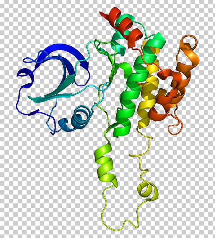 Gene SLK Protein Kinase Threonine PNG, Clipart, Animal Figure, Area, Artwork, Body Jewelry, Enzyme Free PNG Download