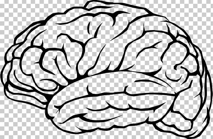Human Brain Cognitive Training Neuron PNG, Clipart, Black And White, Brain, Brain Injury, Cerebellum, Cognitive Training Free PNG Download