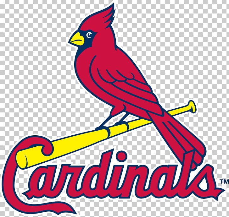 Logos And Uniforms Of The St. Louis Cardinals MLB Busch Stadium Baseball PNG, Clipart, Area, Art, Artwork, Baseball, Beak Free PNG Download