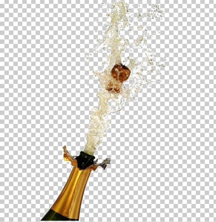 Word Champagne Meaning PNG, Clipart, Austral Pacific Energy Png Limited, Champagne, Desktop Wallpaper, Drink, Idea Free PNG Download