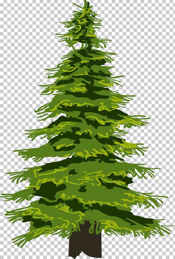Evergreen Tree Pine Drawing Fir PNG, Clipart, Armitage, Branch, Christmas Decoration, Christmas Ornament, Christmas Tree Free PNG Download