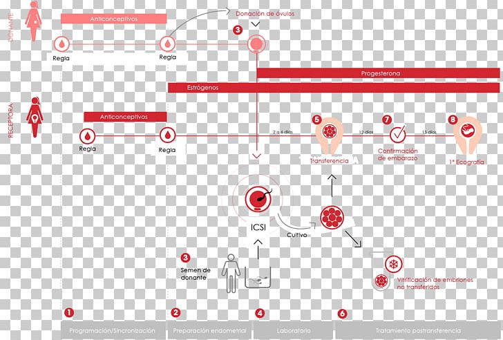 Graphic Design Product Design Brand Diagram PNG, Clipart, Angle, Area, Art, Brand, Circle Free PNG Download
